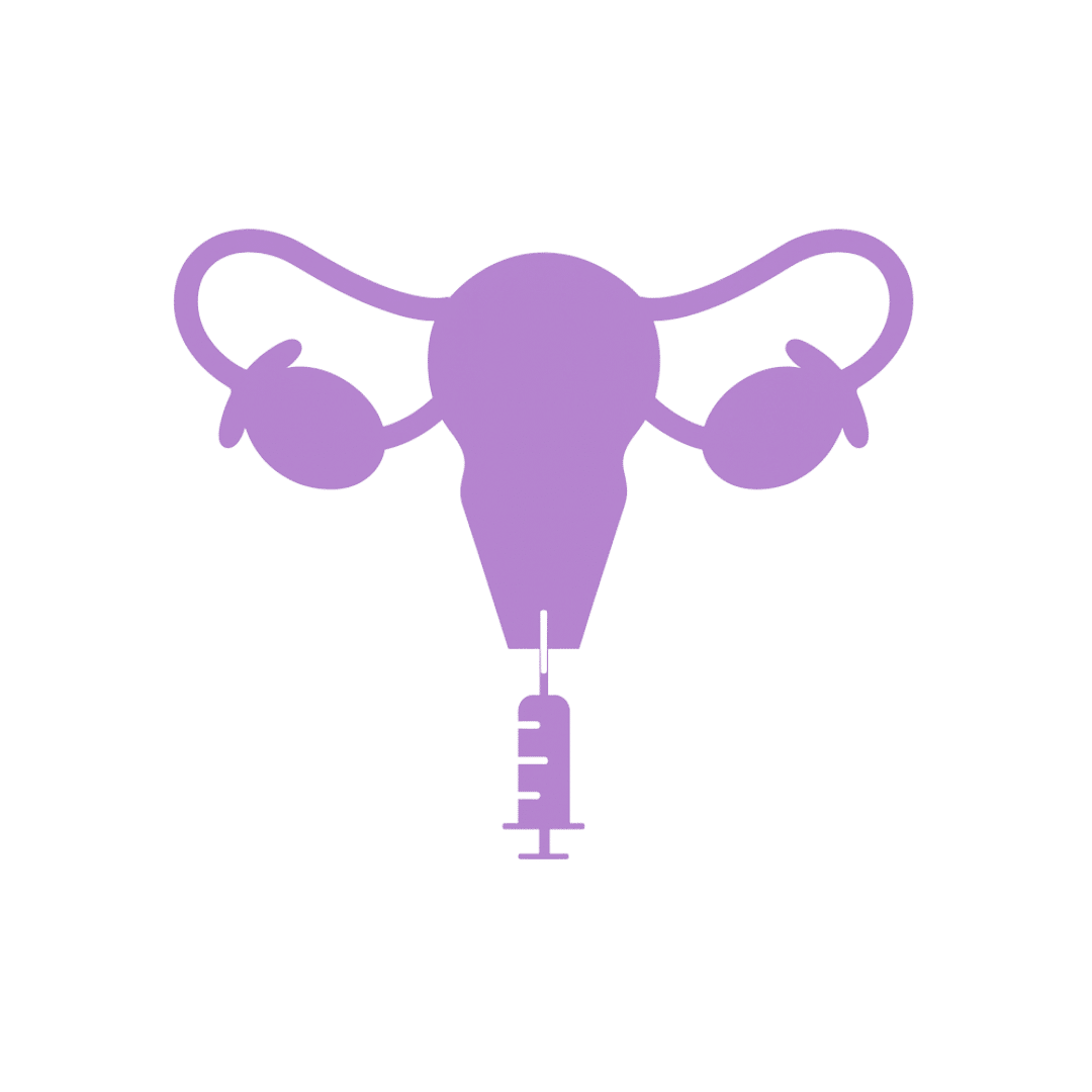 Insemination