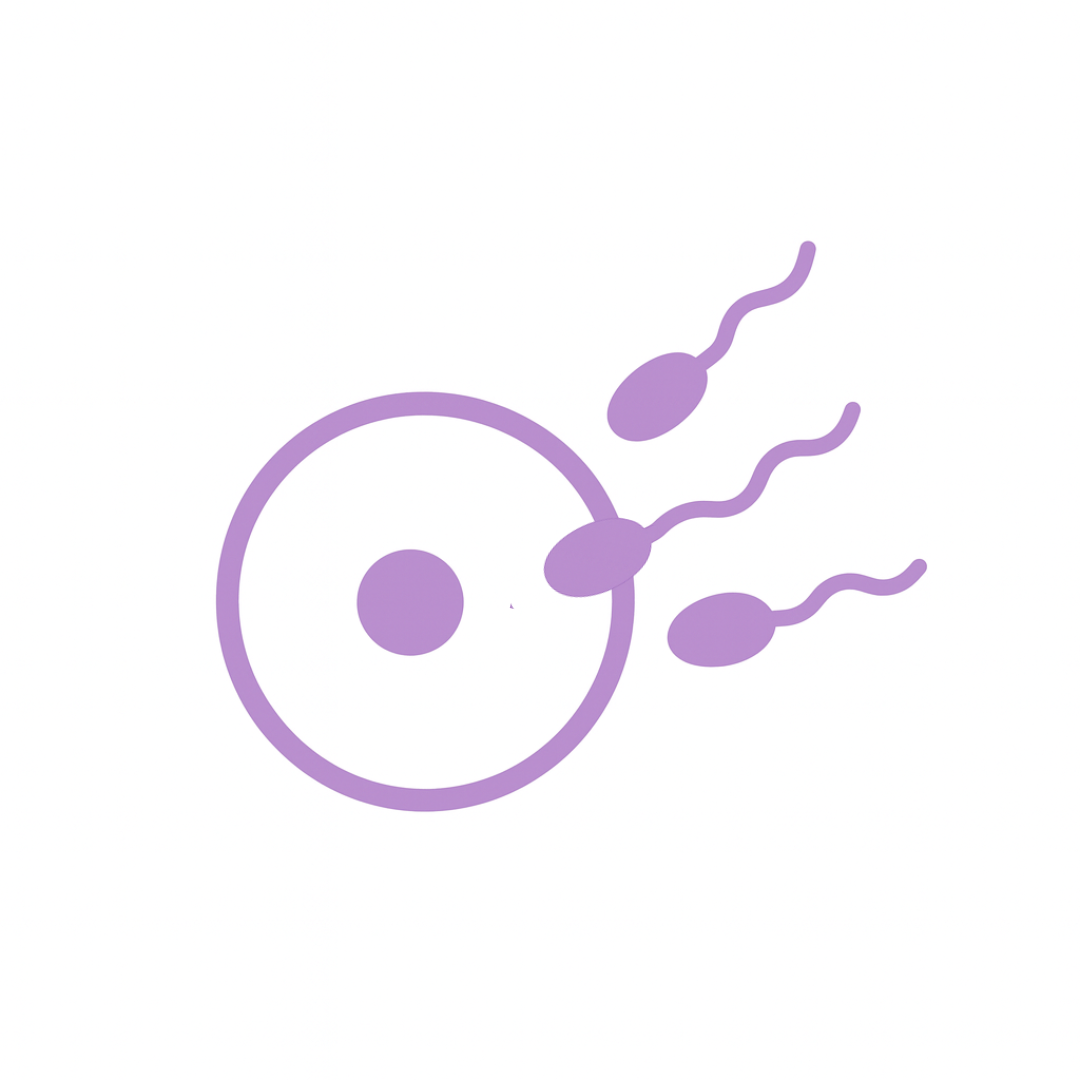 IVF Naturelle